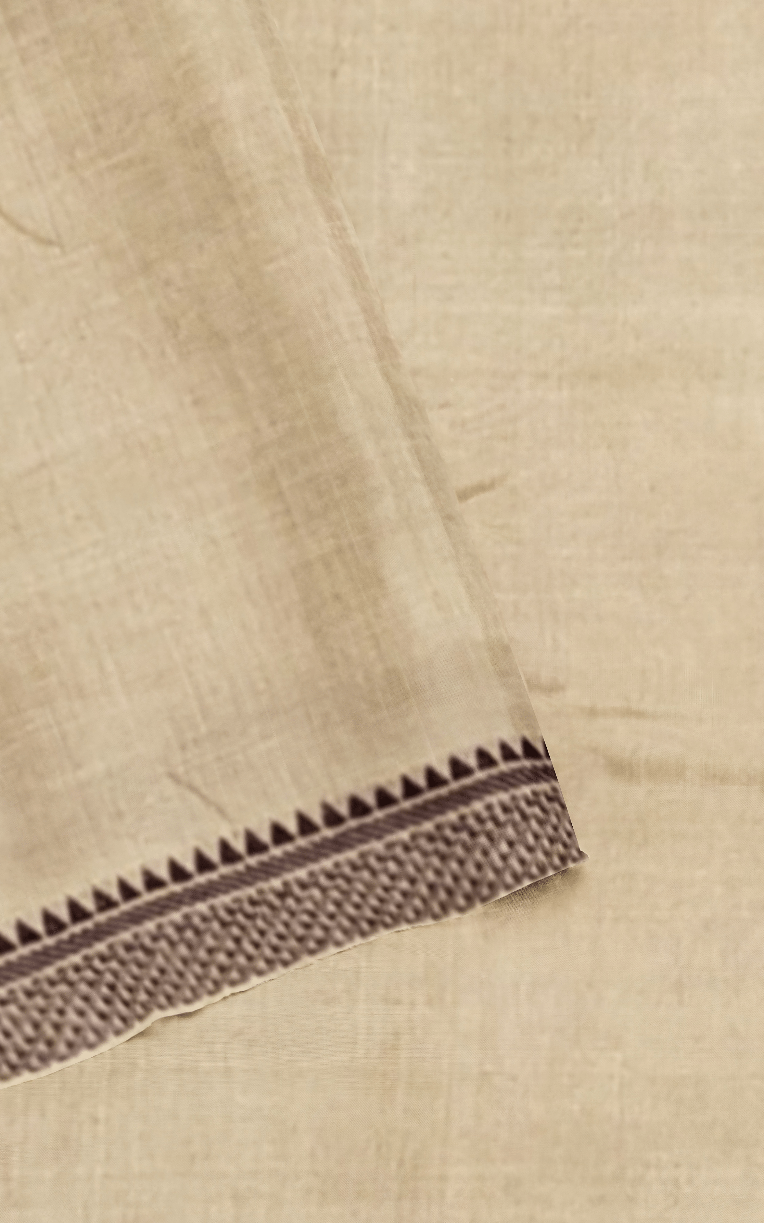 Divasutra Beige and Dark Brown Vidharbha Tussar Silk Phulkari Saree