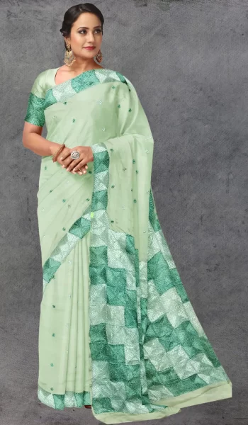 Green Phulkari Chiffon Saree